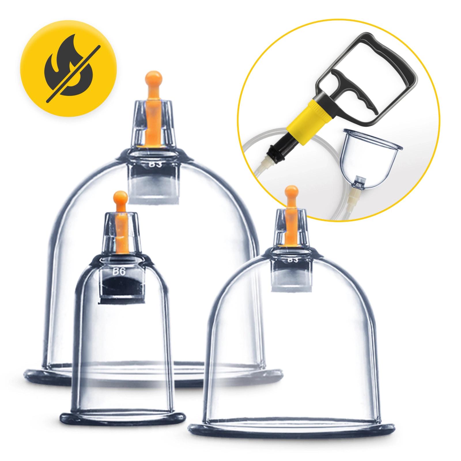 Bule Chinezești de Vid 24 Buc.