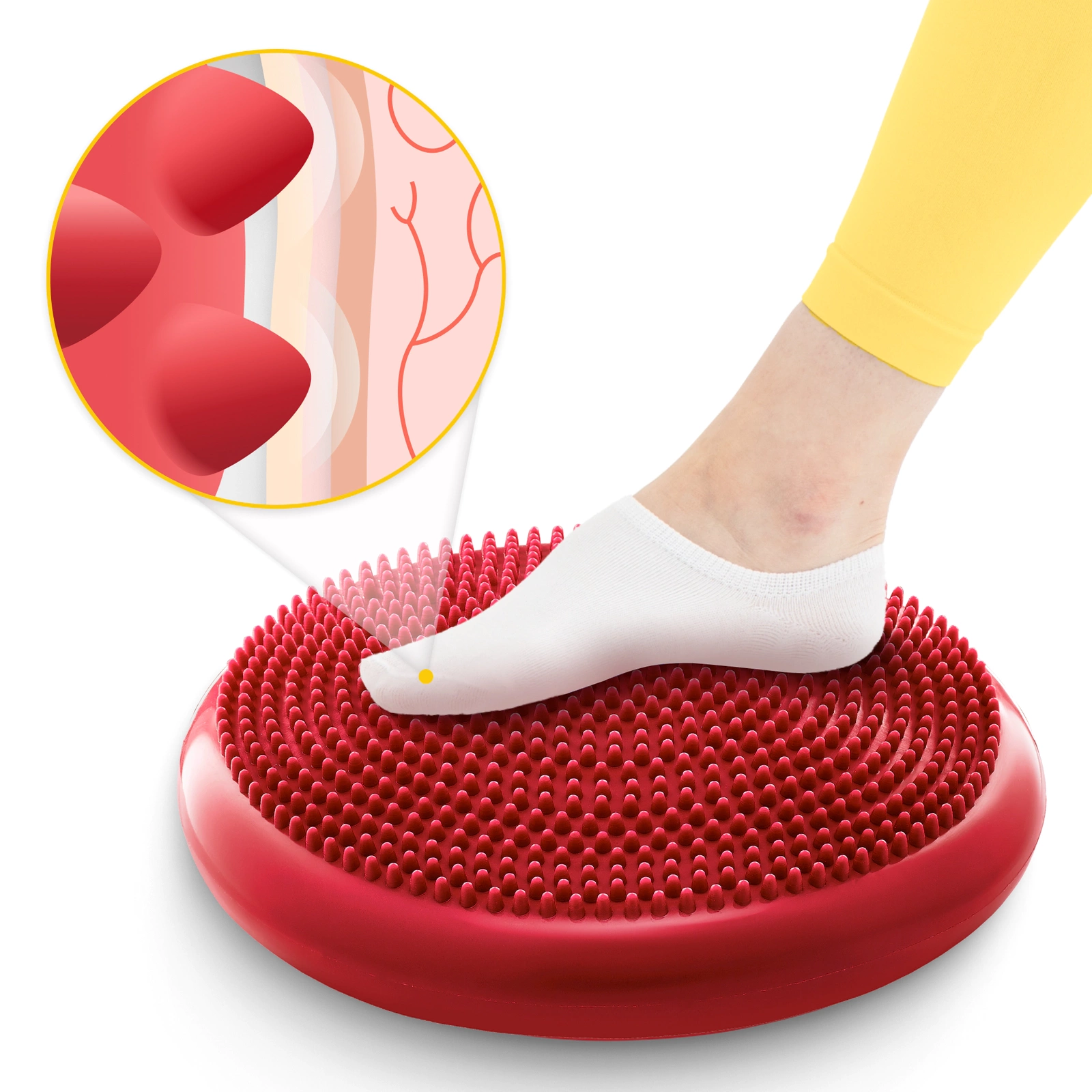 Perna sensomotorie PRO+