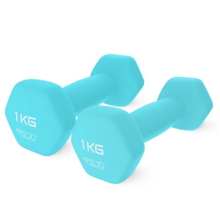 Haltere clasice 2 x 1 kg