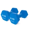 Haltere clasice 2 x 2 kg