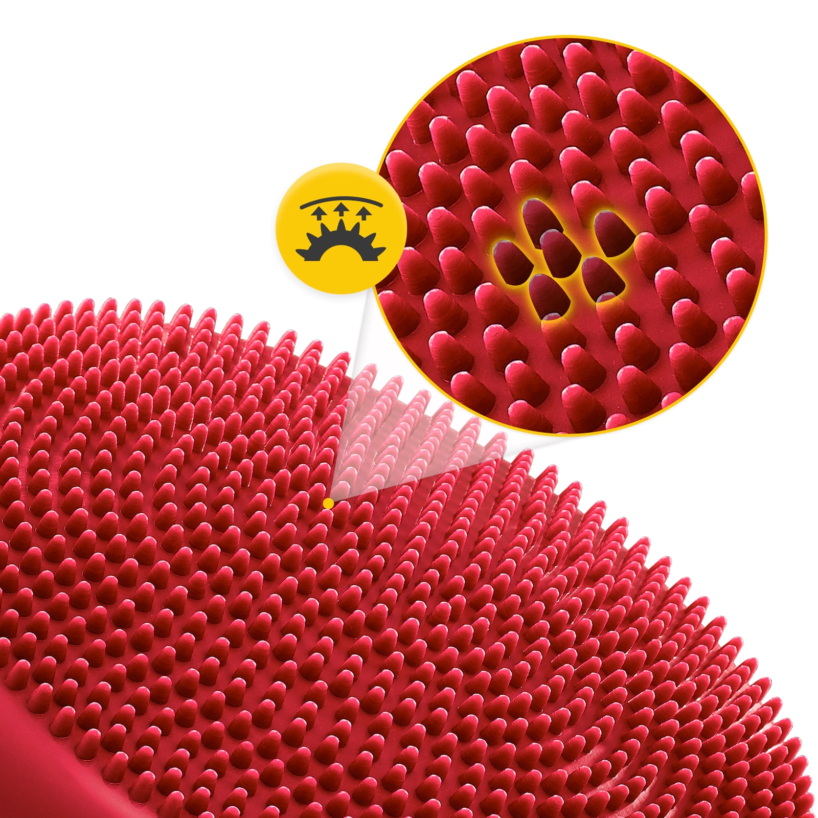 Perna sensomotorie PRO+