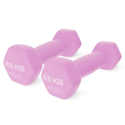Haltere clasice 2 x 0,5 kg