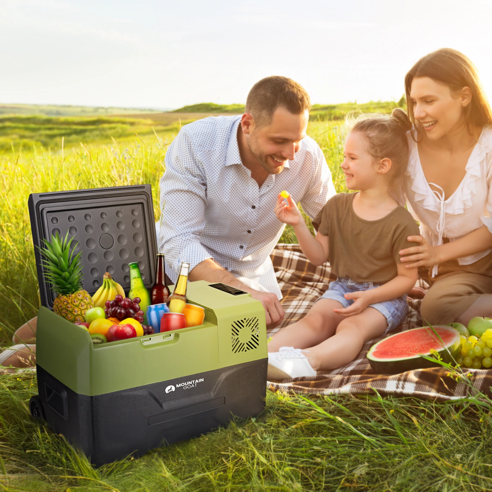 Frigider electric portabil de călătorie 4