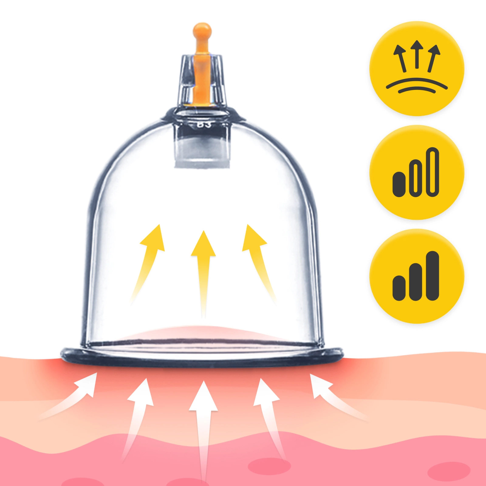 Bule Chinezești de Vid 24 Buc.