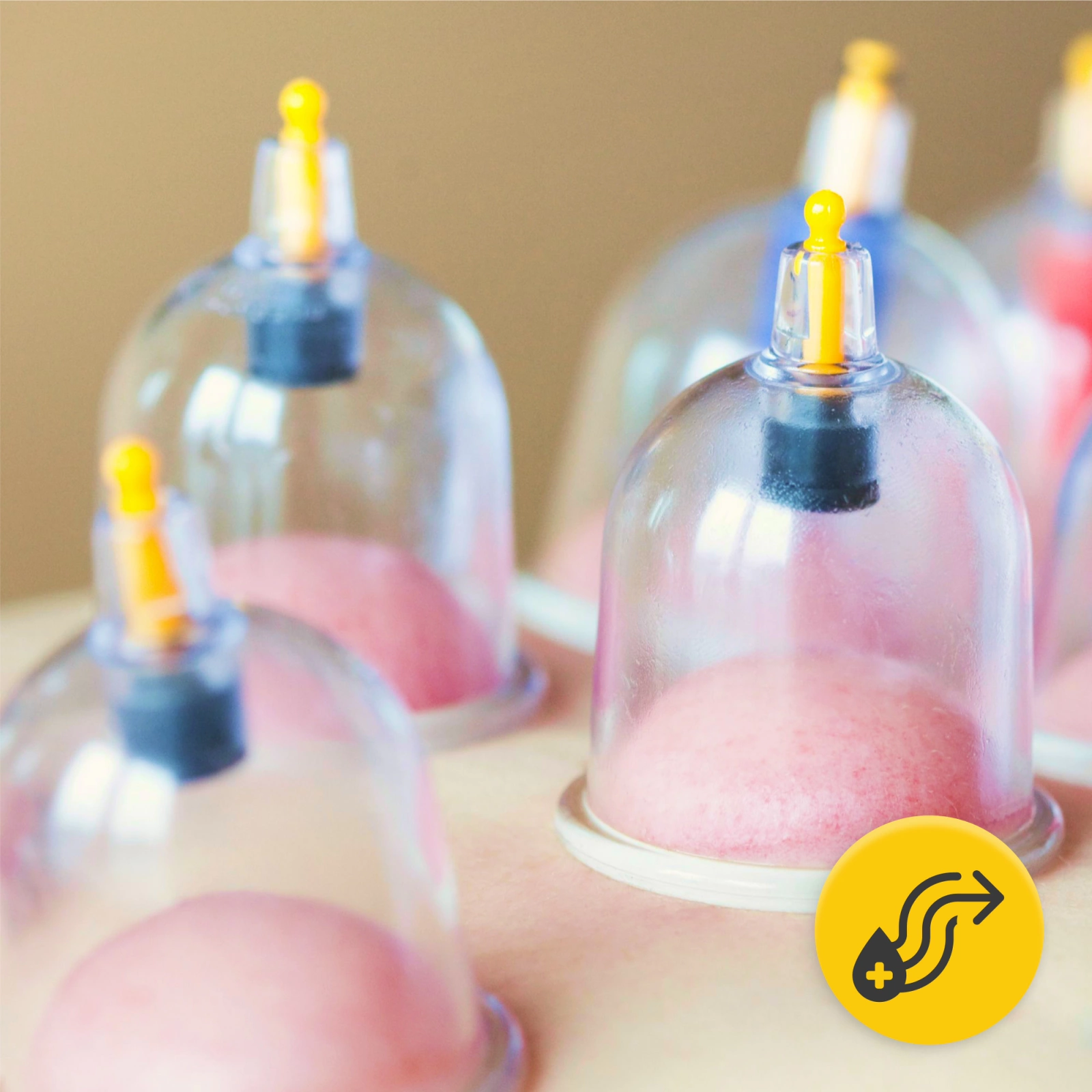 Bule Chinezești de Vid 24 Buc.