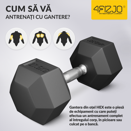 Ganteră din oțel HEX de 27,5 kg (1 Bucată)