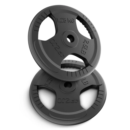 Greutate din fontă 2 x 1,25 kg