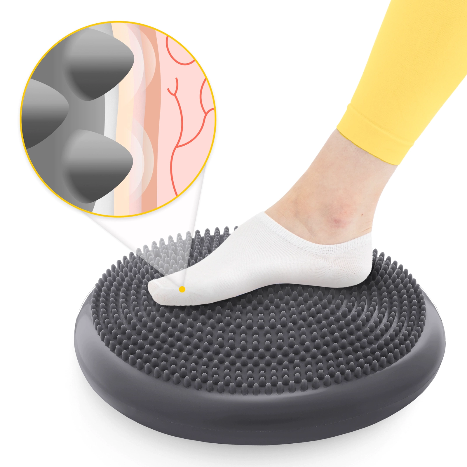  Perna sensomotorie PRO+