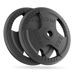 Greutate din fontă 2 x 1,25 kg