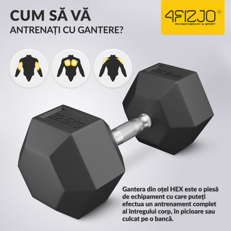 Ganteră din oțel HEX de 22,5 kg (1 Bucată)